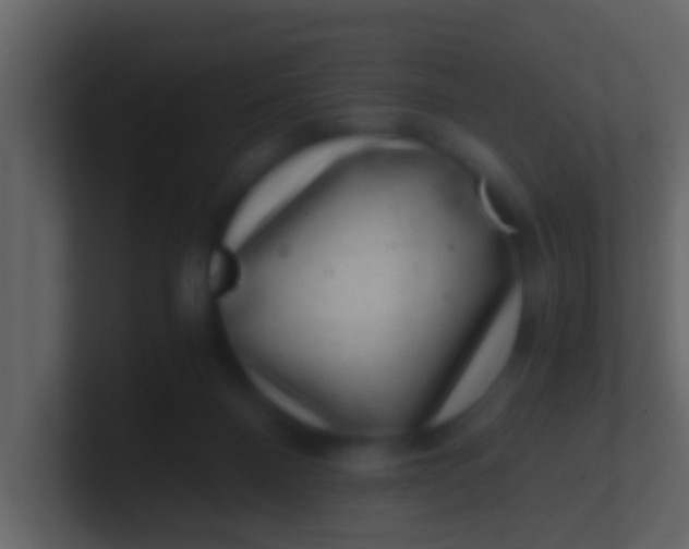 X0000100900120200807081111