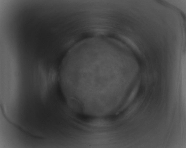 X0000100900123200807081111