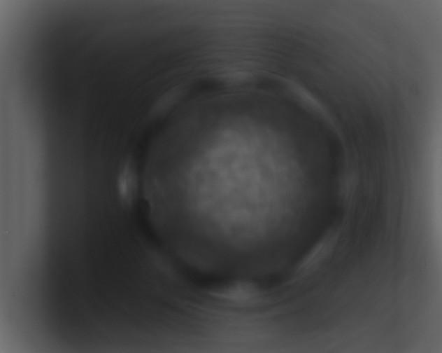 X0000100900124200807081111