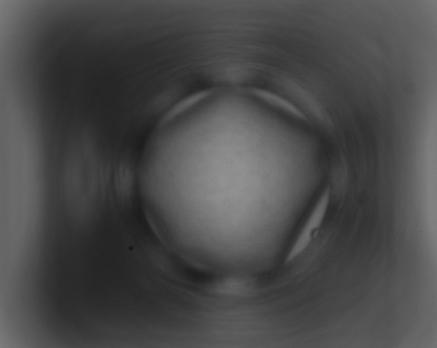 X0000100900126200807081111