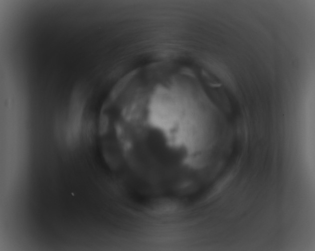 X0000100900127200807081111