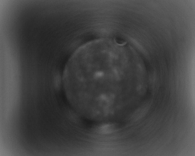 X0000100900130200807081111