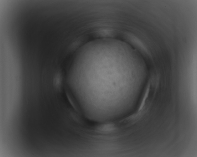 X0000100900132200807081111