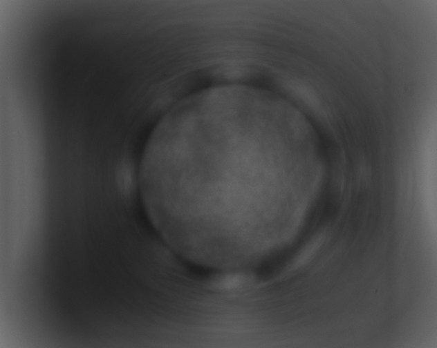 X0000100900135200807081111