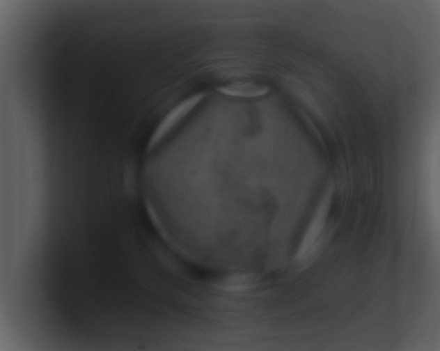 X0000100900136200807081111