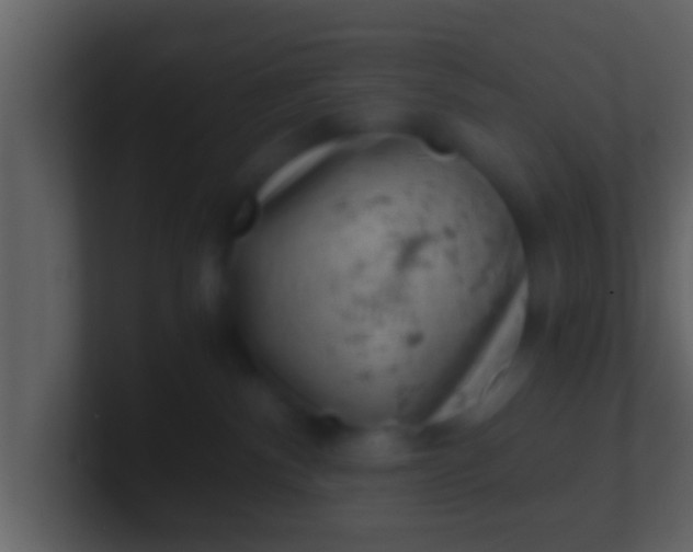 X0000100900140200807081111