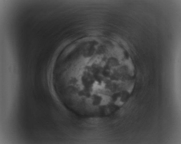 X0000100900145200807081110