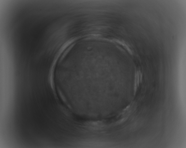 X0000100900147200807081110