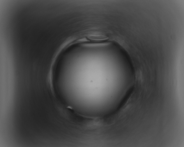 X0000100900148200807081110