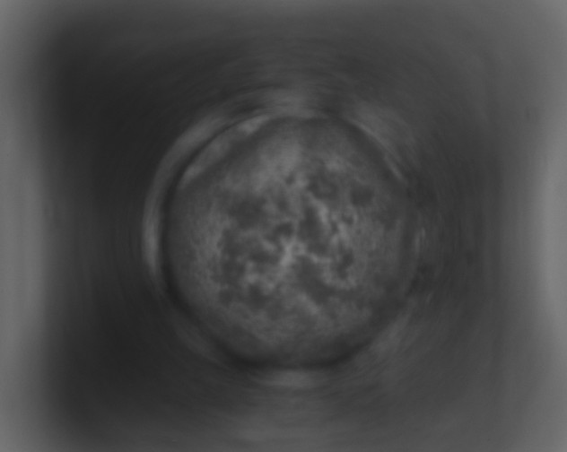 X0000100900149200807081110