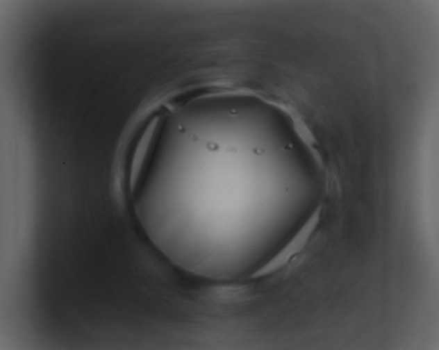 X0000100900150200807081110