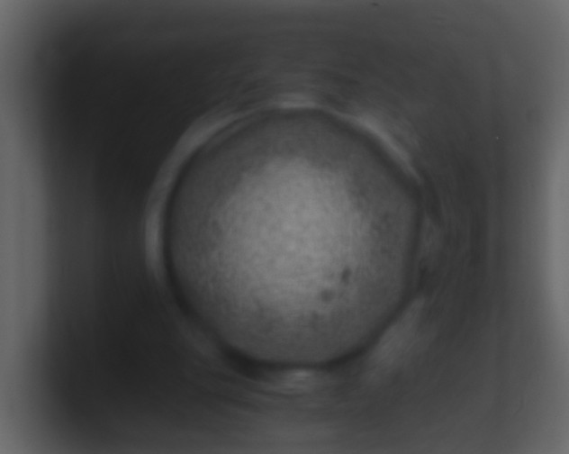 X0000100900151200807081110