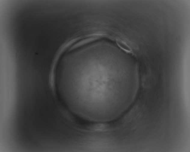 X0000100900152200807081110