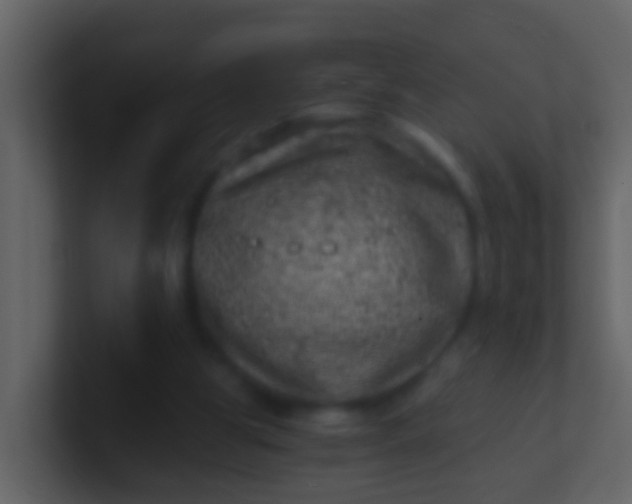 X0000100900153200807081110