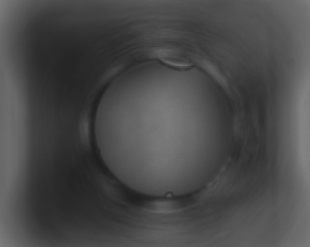 X0000100900154200807081110