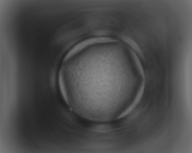 X0000100900155200807081110