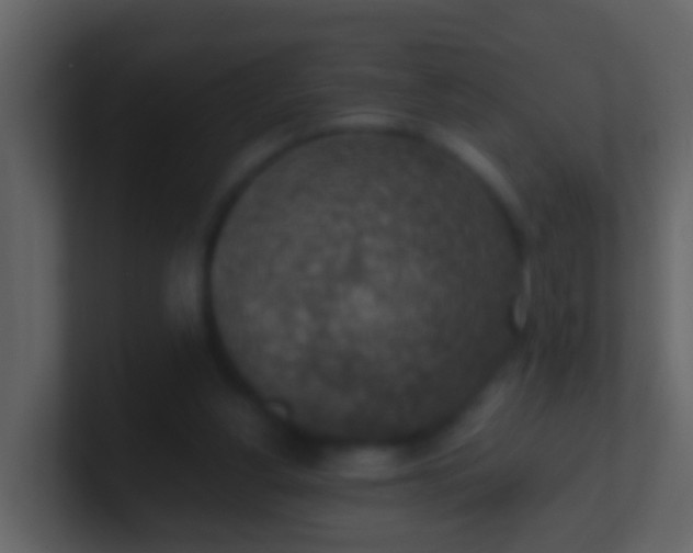 X0000100900156200807081110