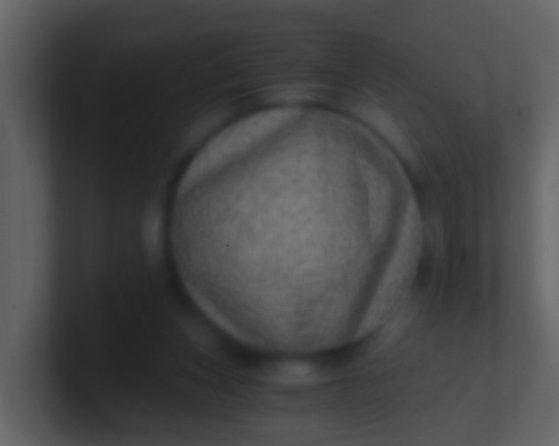 X0000100900159200807081110