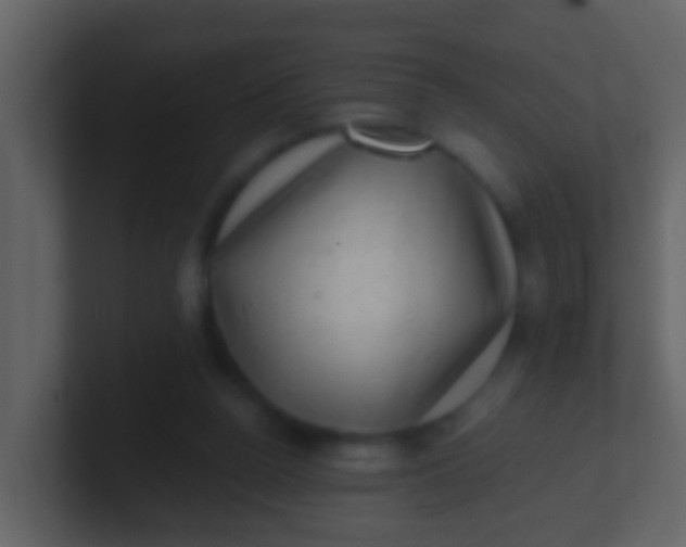 X0000100900160200807081110