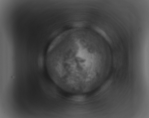 X0000100900161200807081110