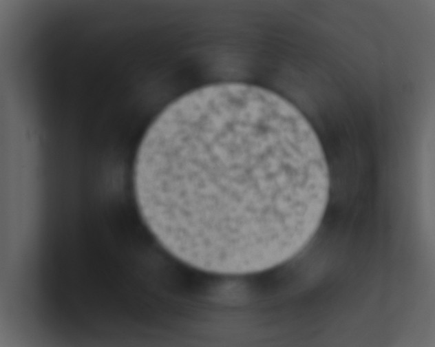 X0000100900162200807081110