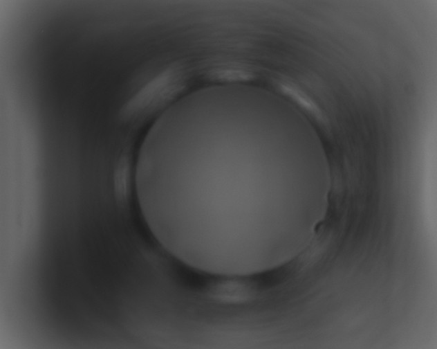 X0000100900163200807081110