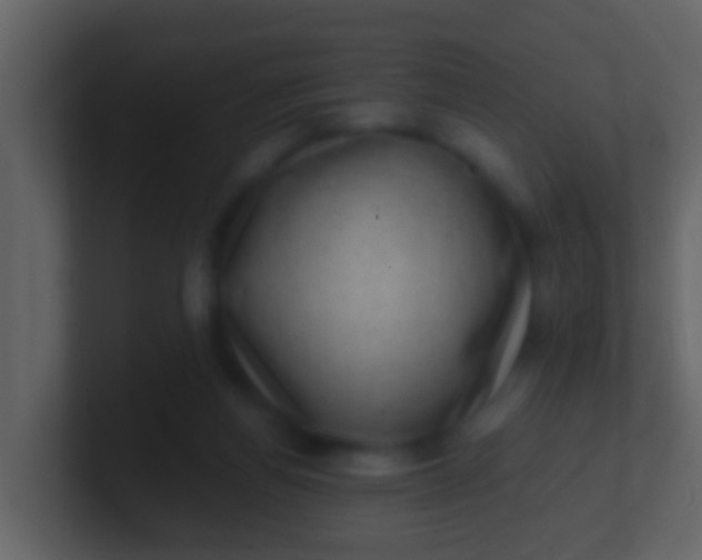 X0000100900164200807081110