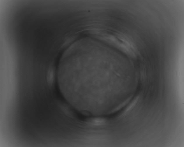 X0000100900165200807081110