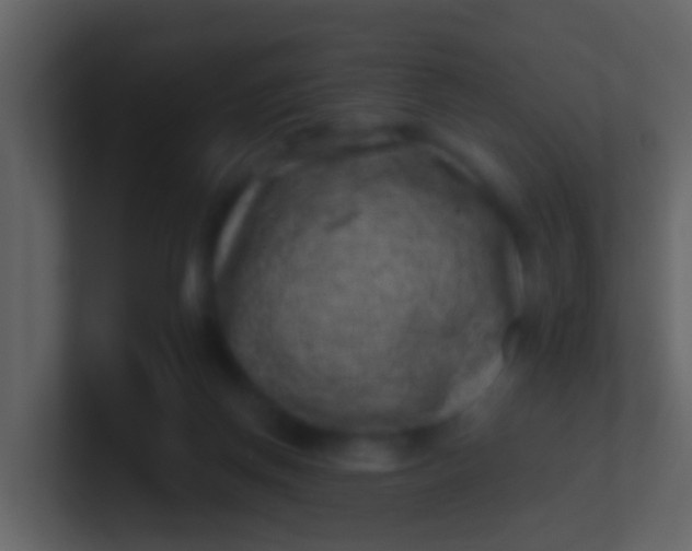 X0000100900166200807081110