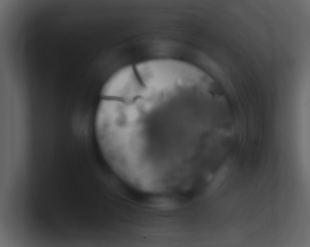 X0000100900167200807081110