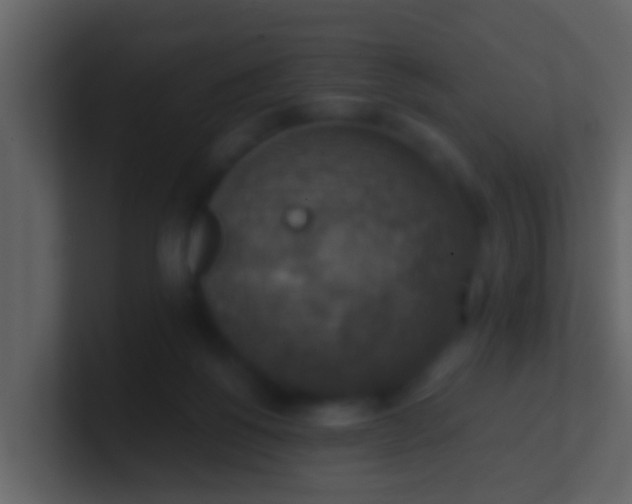 X0000100900168200807081110