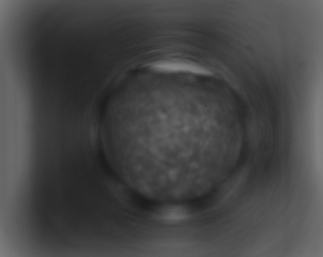 X0000100900169200807081110