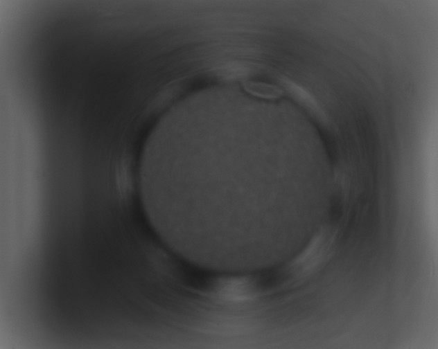 X0000100900170200807081110