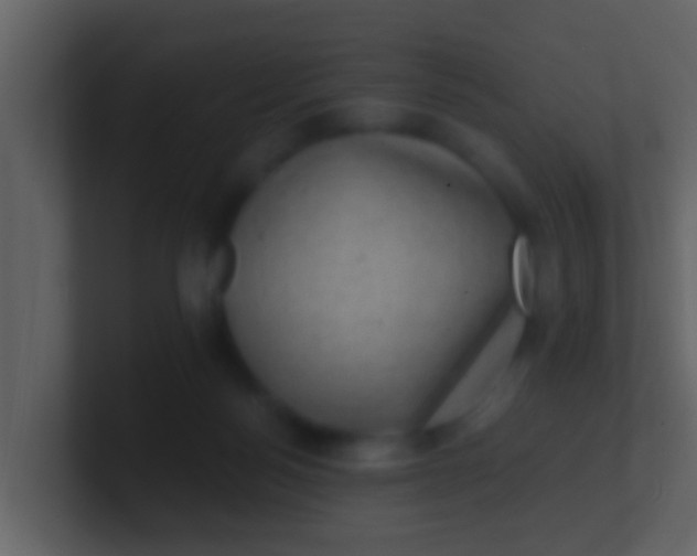 X0000100900172200807081110