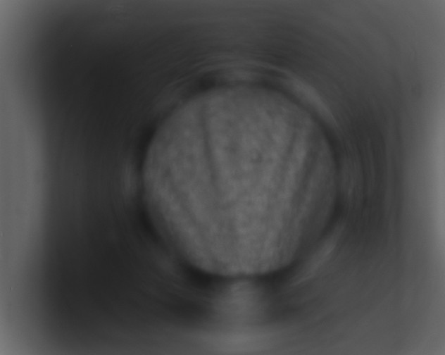 X0000100900173200807081110