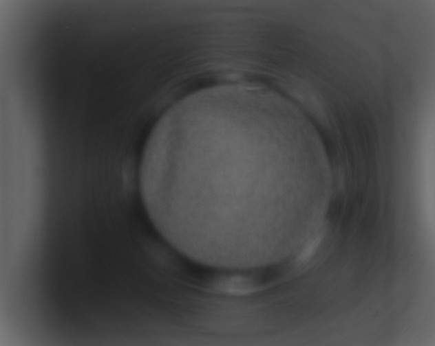 X0000100900174200807081110