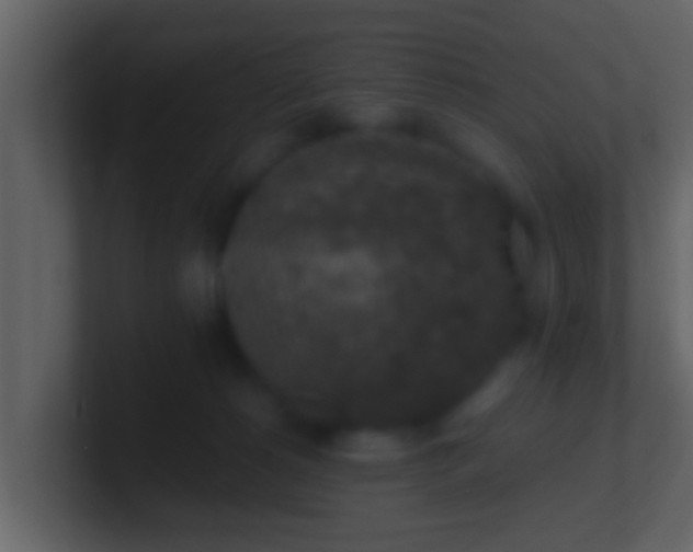 X0000100900180200807081110