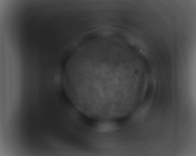 X0000100900181200807081110