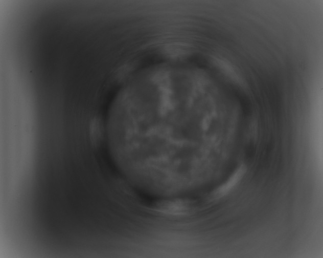 X0000100900182200807081110