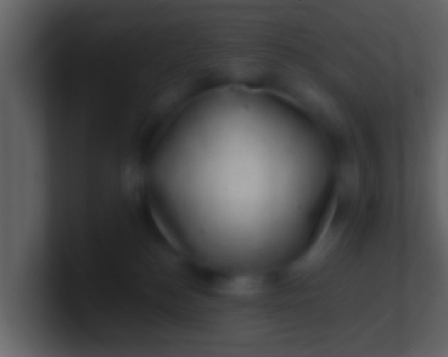 X0000100900184200807081110