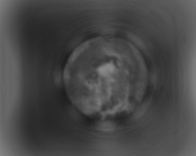 X0000100900185200807081110