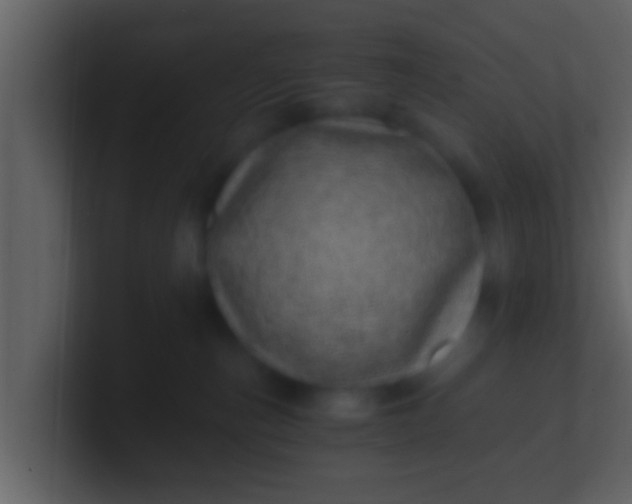 X0000100900187200807081110