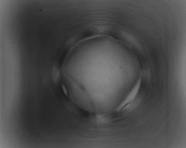 X0000100900188200807081110