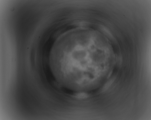 X0000100900189200807081110