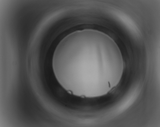 X0000100900190200807081110