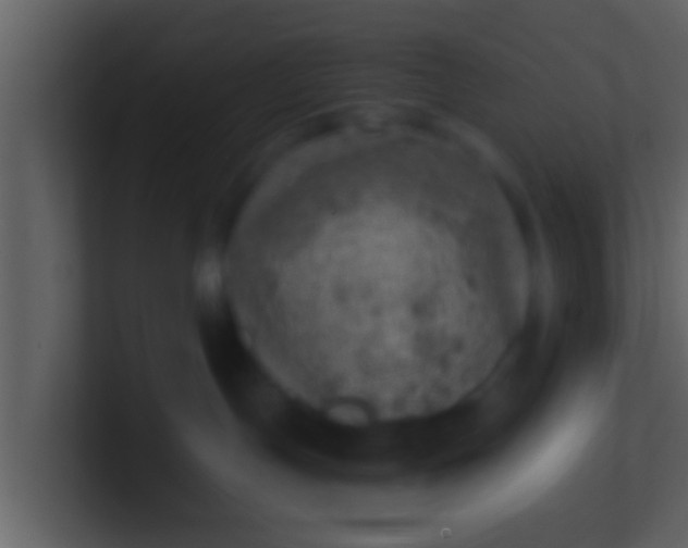 X0000100900191200807081111