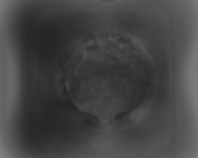 X0000100900192200807081111