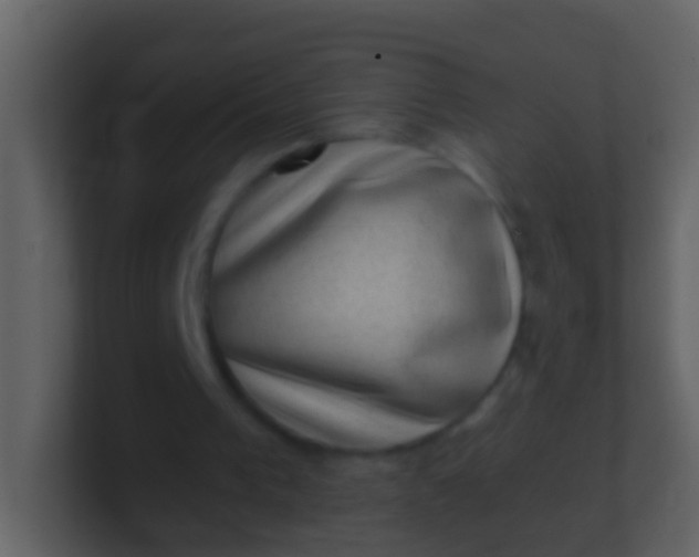 X0000100900193200807081110