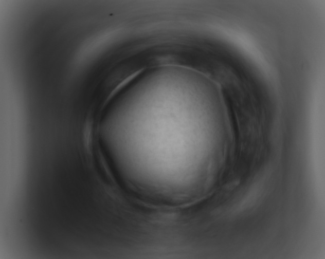 X0000100900194200807081110