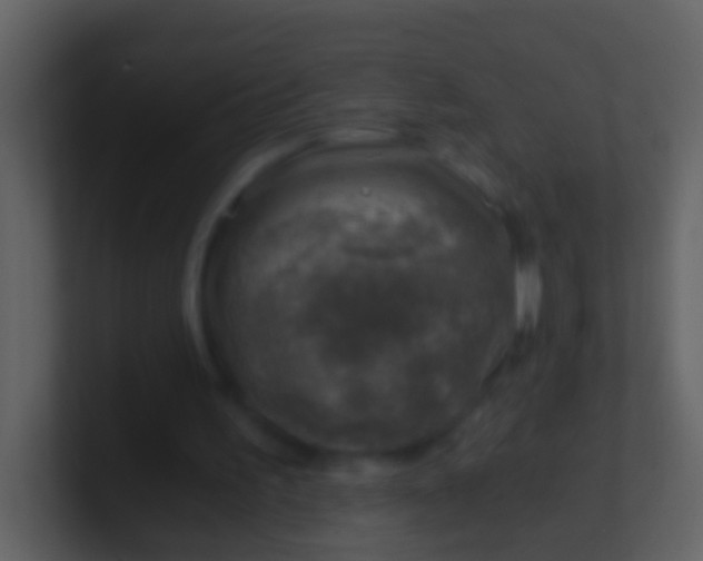 X0000100900195200807081110